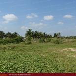 Beach land in Nilaveli with very wide beach.