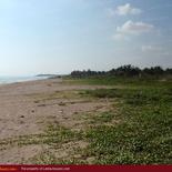 Beach land in Nilaveli with very wide beach.