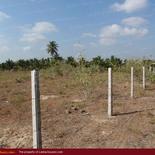 Beach land in Nilaveli with very wide beach.