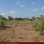 Beach land in Nilaveli with very wide beach.