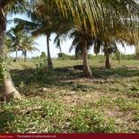 Beach land in Nilaveli with very wide beach.