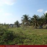 Beach land in Nilaveli with very wide beach.