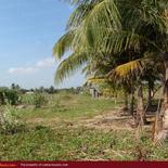 Beach land in Nilaveli with very wide beach.