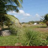 Beach land in Nilaveli with very wide beach.