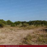 Beach land in Nilaveli