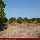 Beach land in Nilaveli