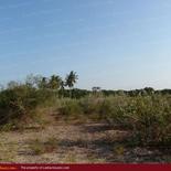 Beach land in Nilaveli