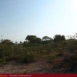 Beach land in Nilaveli
