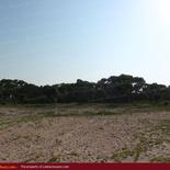 Beach land in Nilaveli