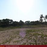 Beach land in Nilaveli