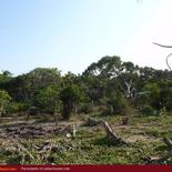 Beach land in Nilaveli