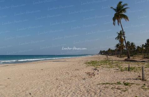 Huge beach land in Nilaveli