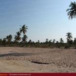 Huge beach land in Nilaveli