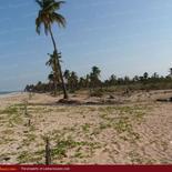 Huge beach land in Nilaveli
