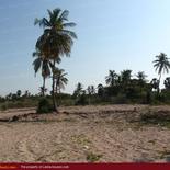 Huge beach land in Nilaveli