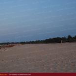 Huge land on the beach with 1000 palms