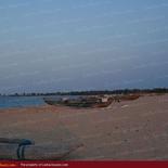 Huge land on the beach with 1000 palms