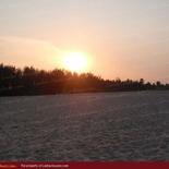 Huge land on the beach with 1000 palms