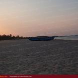 Huge land on the beach with 1000 palms