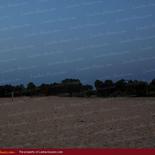 Huge land on the beach with 1000 palms