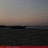 Huge land on the beach with 1000 palms