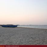 Huge land on the beach with 1000 palms