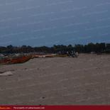 Huge land on the beach with 1000 palms