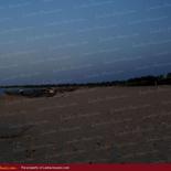 Huge land on the beach with 1000 palms