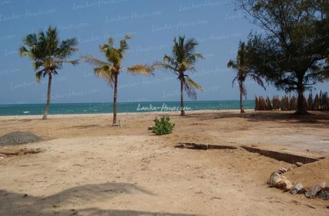 Beach land in Arugam Bay