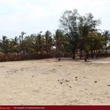Beach land in Arugam Bay