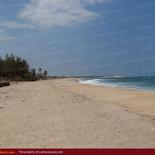 Beach land in Arugam Bay