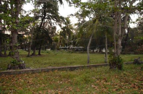 Peninsula in Arugam Bay