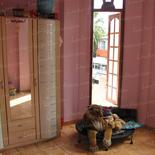 SHANTI House