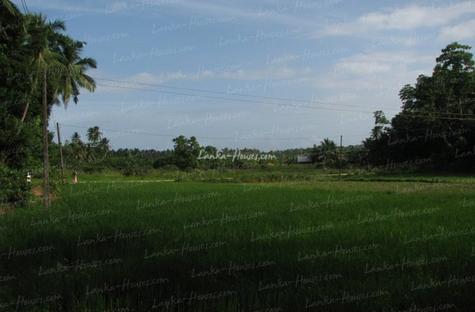 Land for Sale 3.5 km from Mirissa