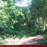 Land for Sale 3.5 km from Mirissa