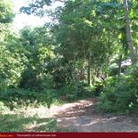 Land for Sale 3.5 km from Mirissa