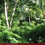Land for Sale 3.5 km from Mirissa