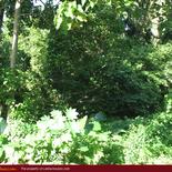 Land for Sale 3.5 km from Mirissa