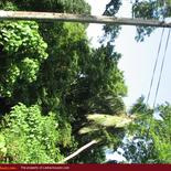 Land for Sale 3.5 km from Mirissa