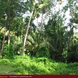 Land for Sale 3.5 km from Mirissa