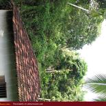 Land for Sale 3.5 km from Mirissa