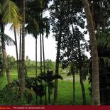 Land for Sale 3.5 km from Mirissa