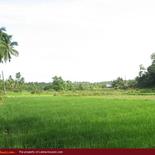 Land for Sale 3.5 km from Mirissa