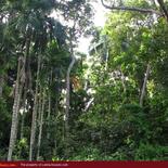 Land for Sale 3.5 km from Mirissa