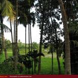 Land for Sale 3.5 km from Mirissa