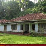 Land for Sale 3.5 km from Mirissa