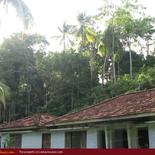 Land for Sale 3.5 km from Mirissa