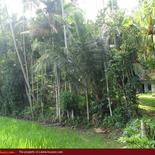 Land for Sale 3.5 km from Mirissa