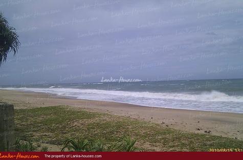 Land in Rekava beach.