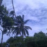 Land in Rekava beach.